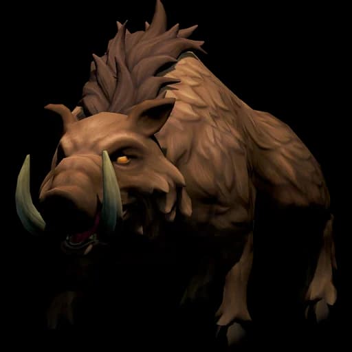 Boar