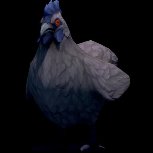 Feral Chicken