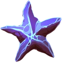Cooked Starfish