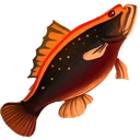 Cooked Scad Filet