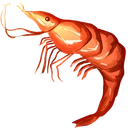Cooked Shrimp