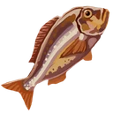 Cooked Bream Filet