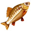 Cooked Bass Filet