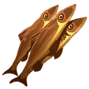Cooked Anchovies Filet