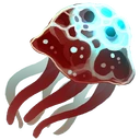 Cooked Jellyfish