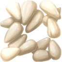 Beet Seed