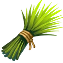 Chives