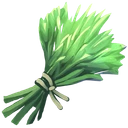 Dill
