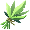 Sage