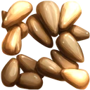 Potato Seed