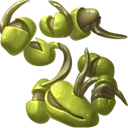 Pumpkin Seed