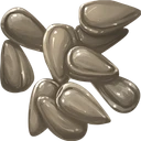 Radish Seed
