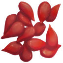 Tomato Seed
