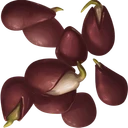 Watermelon Seed