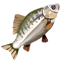 Raw Bass