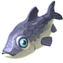 Raw Minnow