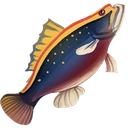 Raw Scad