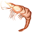 Raw Shrimp