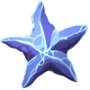 Raw Starfish