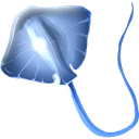 Raw Stingray