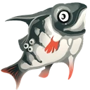 Raw Trout