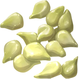 Basil Seed