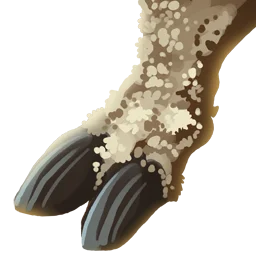 Bore Hoofs