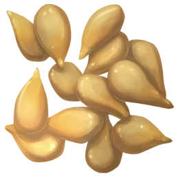 Carrot Seed