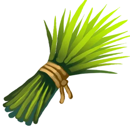 Chives