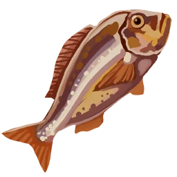 Cooked Bream Filet