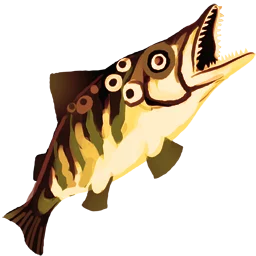 Cooked Pike Filet