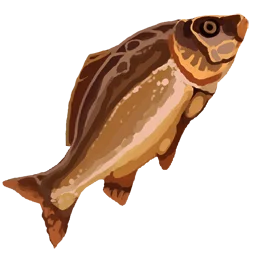 Cooked Pollack Filet