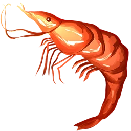 Cooked Shrimp