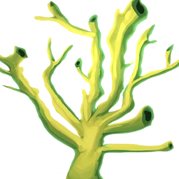 Coral