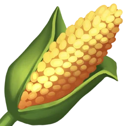 Corn