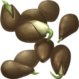Cucumber Seed