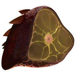 Dragon Meat