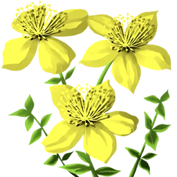 Five Leaf Clover