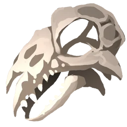 Hyena Skull