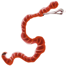 Maggot