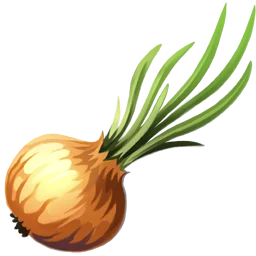 Onion