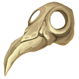 Parrot Skull