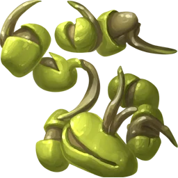 Pumpkin Seed