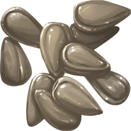 Radish Seed
