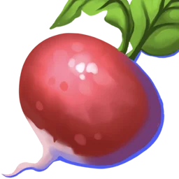 Radish