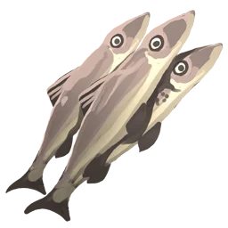 Raw Anchovies
