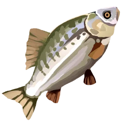 Raw Bass