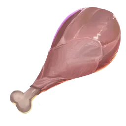 Raw Chicken Meat