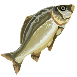 Raw Cod