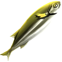 Raw Mackerel